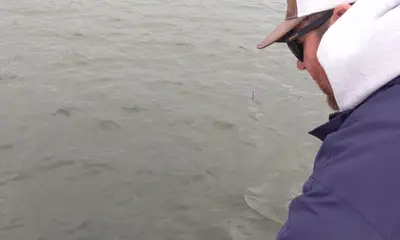 Cumming Report Video 0