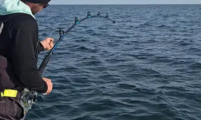 Virginia Beach Report Video 0