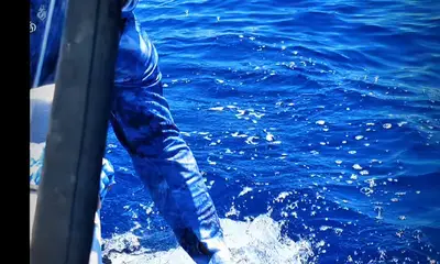 Herradura Verslag Video 0