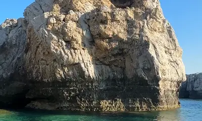 Brilliant Experience