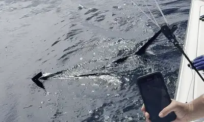 Guanacaste Report Video 2