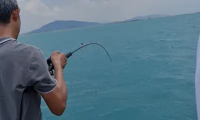 Singapore Report Video 0