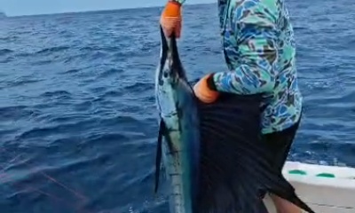 4 Hours Fishing Flamingo-Costa Rica