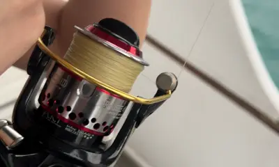 Half Day Fishing Trip