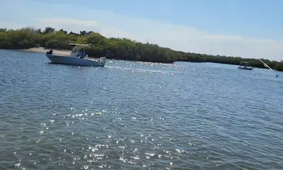 Port Orange Report Video 0