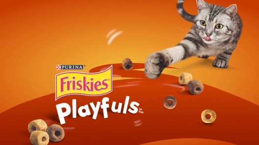 Play Video: Learn More About Friskies From Our Team of Experts