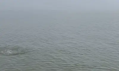 Venice Report Video 0