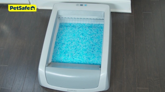 Petsafe Scoopfree Complete Plus Self-cleaning Cat Litter Box with  Disposable Crystal Litter Tray : Target