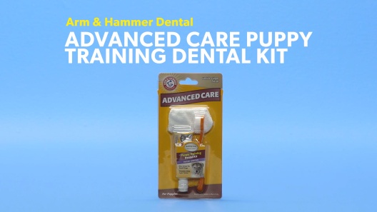 Play Video: Learn More About ARM & HAMMER PRODUCTS From Our Team of Experts