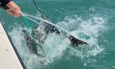 great time with Torre