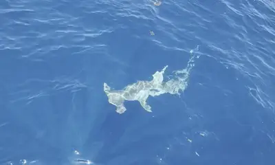 June boating trip