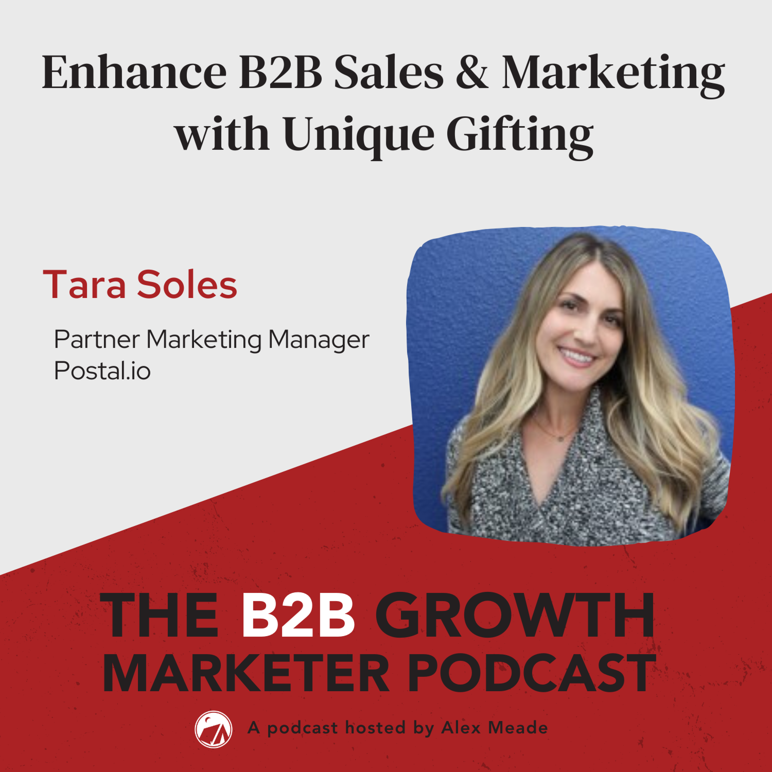 The B2B Growth Marketer