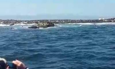 Cape Town Report Video 1