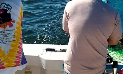 Montross Report Video 1