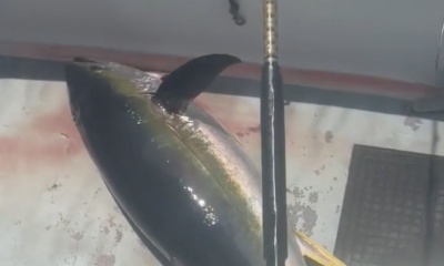 Honolulu Report Video 0