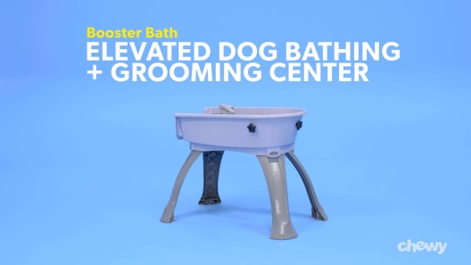 Petstores Elevated Dog Bath and Grooming Center, Medium - Teal - Bed Bath &  Beyond - 8372660