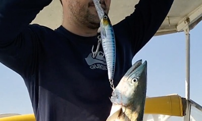Puerto Peñasco Report Video 0