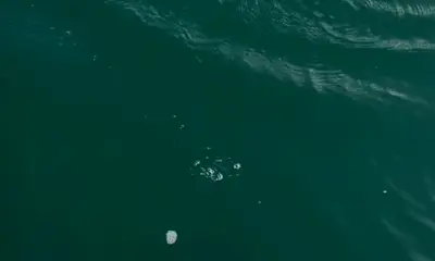 Port Canaveral Report Video 0