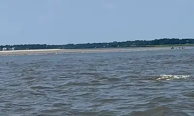Brilliant Day On The Water! 