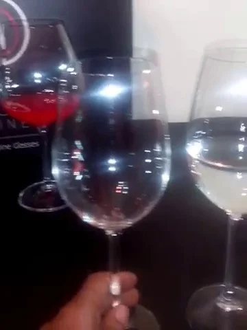 ROD Wine Titanium Lead Free Red Wine Glasses Set of 3 (22 Oz)