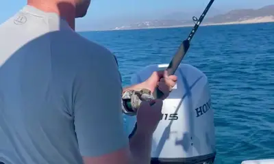 San Jose del Cabo Report Video 2