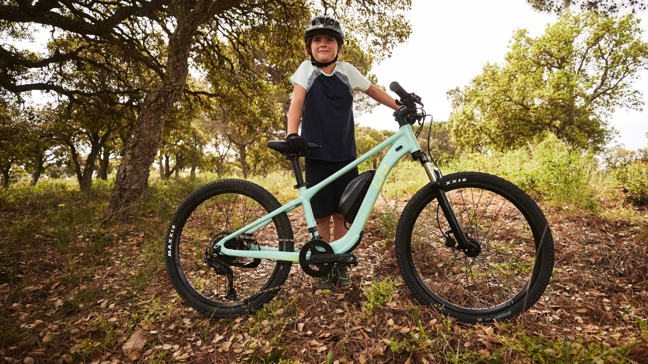 Kids hotsell e mtb