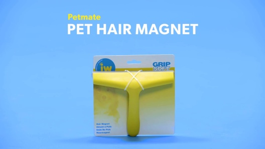 amplifikation Enig med Hals PETMATE Pet Hair Magnet, Yellow - Chewy.com