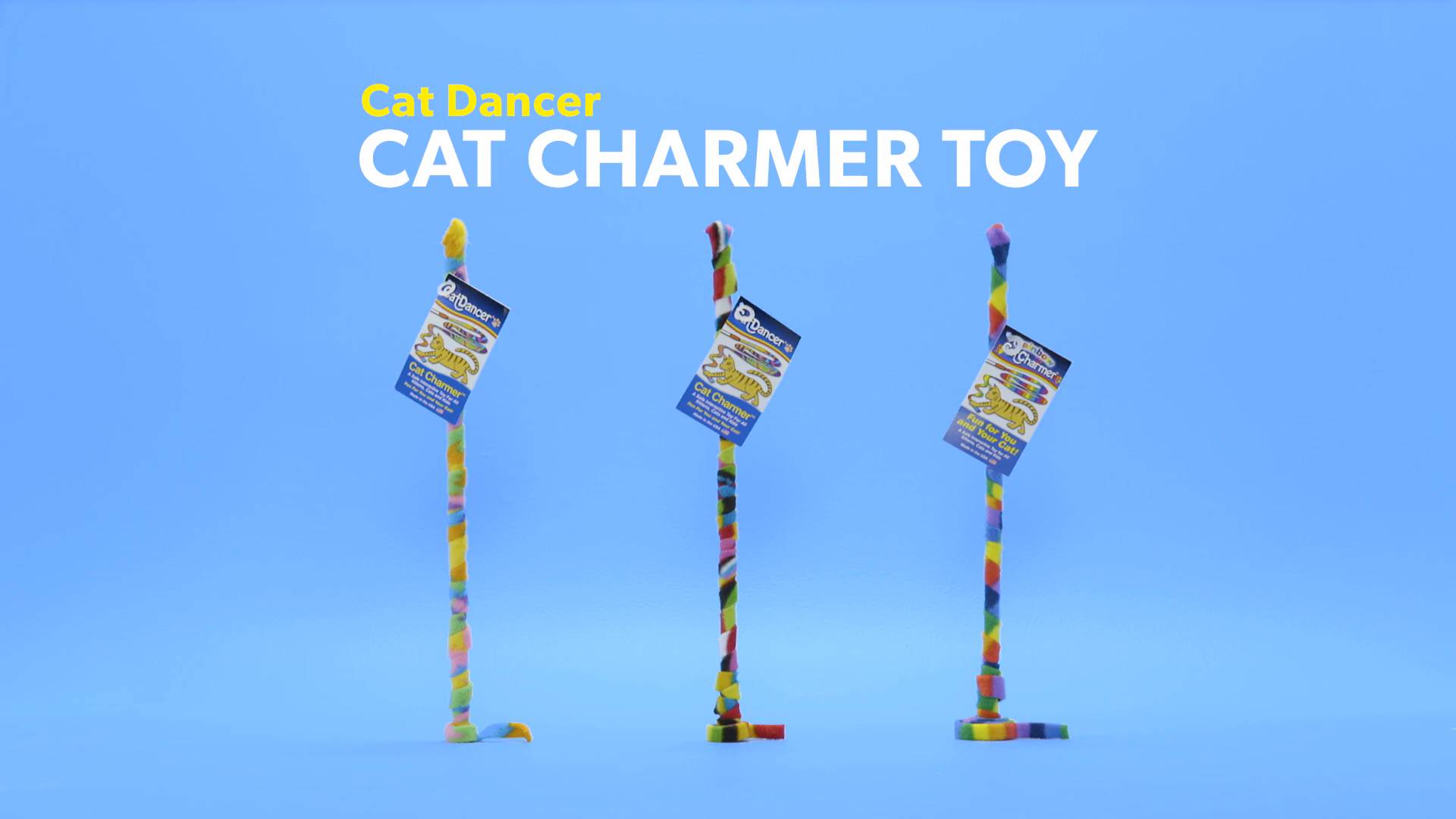 Cat dancer hot sale cat charmer