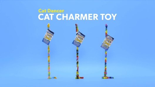 Play Video: Learn More About Cat Dancer From Our Team of Experts