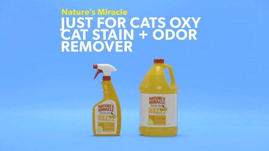 Nature's Miracle Orange-Oxy Power Stain and Odor Remover, 24 oz.