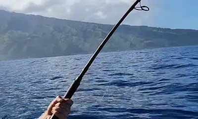 Puna'auia Report Video 0