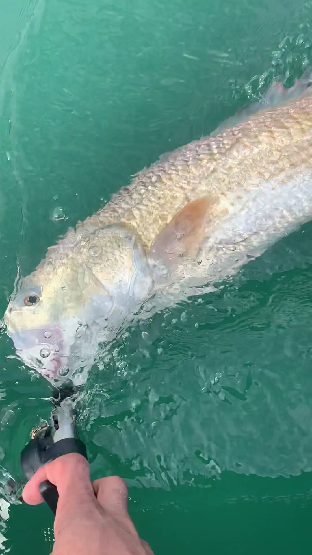 Business Card: Poseidon Fishing Charters
