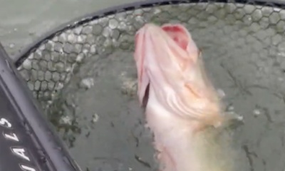 Lakeport Report Video 0