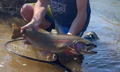 WFS 456 - Alaska Rainbow Trout Fishing with Adam Cuthriell from