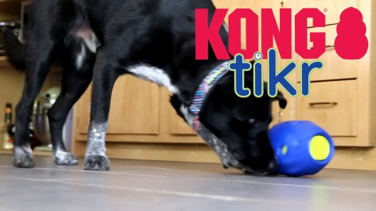 Kong Tikr Timed Release Small Treat Dispensing Dog Toy (No Batteries Needed)