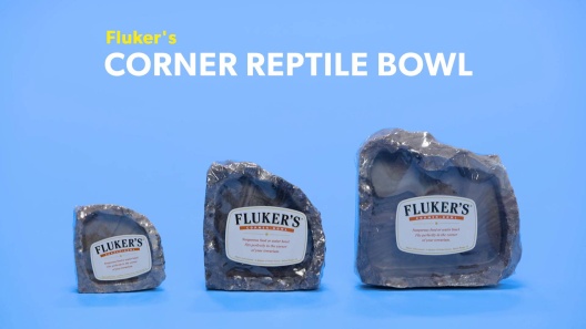 Play Video: Learn More About Fluker's From Our Team of Experts