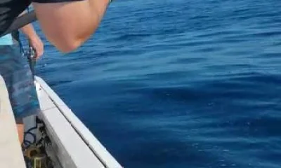 Panama City Beach Report Video 0
