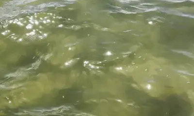 Caught a STINGRAY!