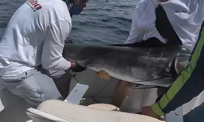 Best sport fishing trip ever