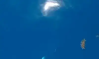 Playa Del Carmen Report Video 0