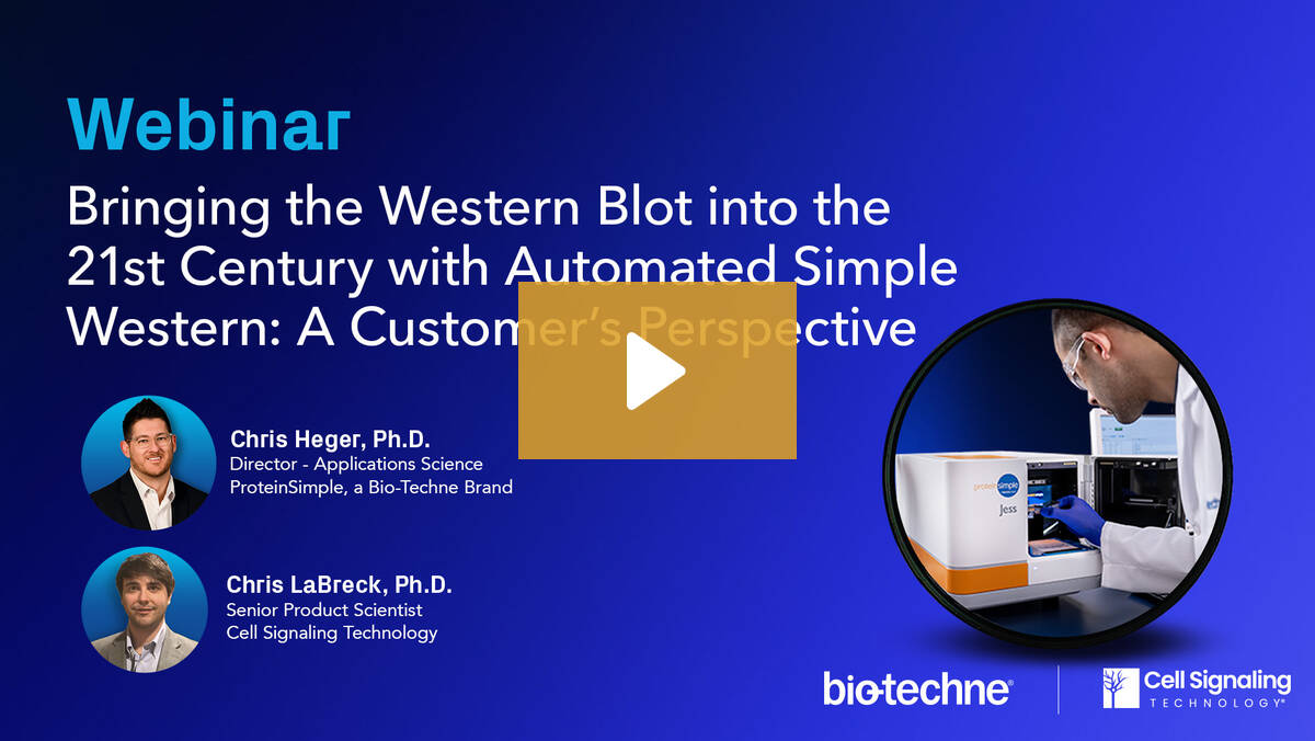 Bringing the Western Blot into the 21st Century with Automated Simple Western – A Customer's Perspective