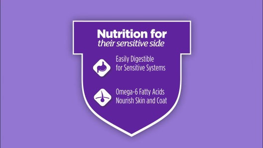 Cat Chow Sensitive Stomach Gentle Dry Cat Food