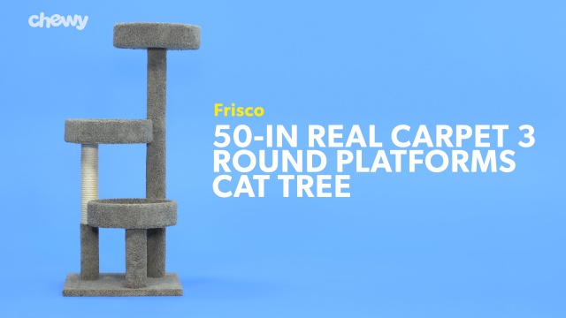 Frisco 50 In Real Carpet Wooden Cat Tree Beige Chewy Com