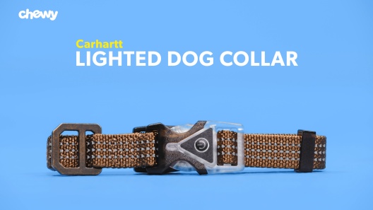 Play Video: Learn More About Carhartt From Our Team of Experts