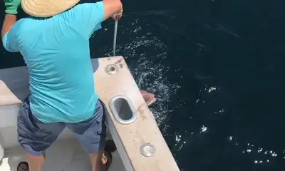 Destin Report Video 0