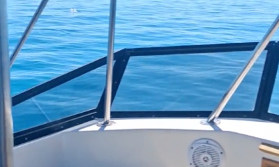 Dana Point Report Video 2