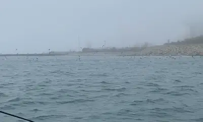 Quincy Report Video 0