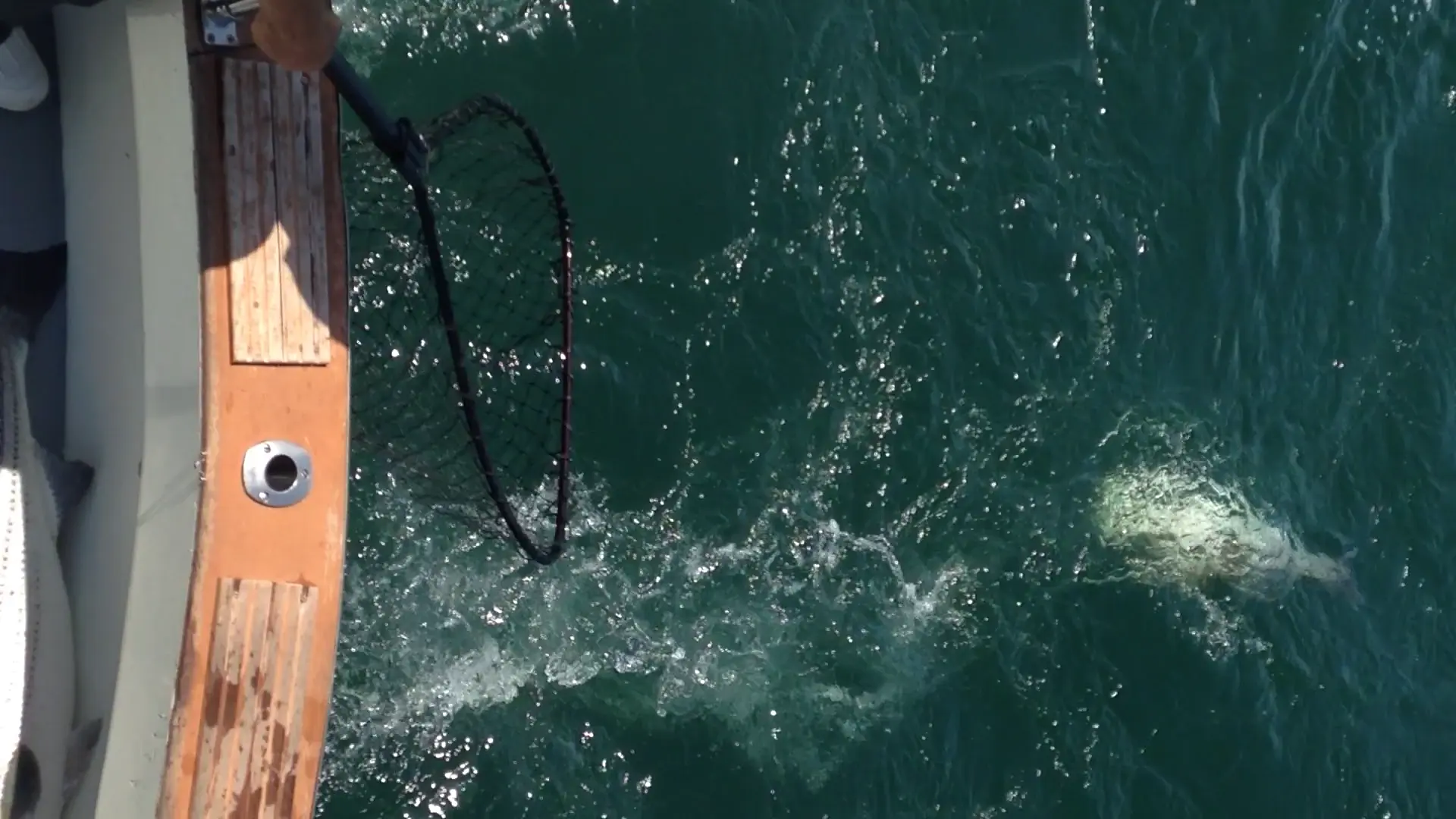 Business Card: My Mate Charters