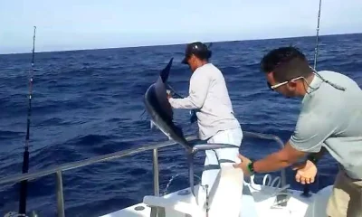 Cabo San Lucas Report Video 0