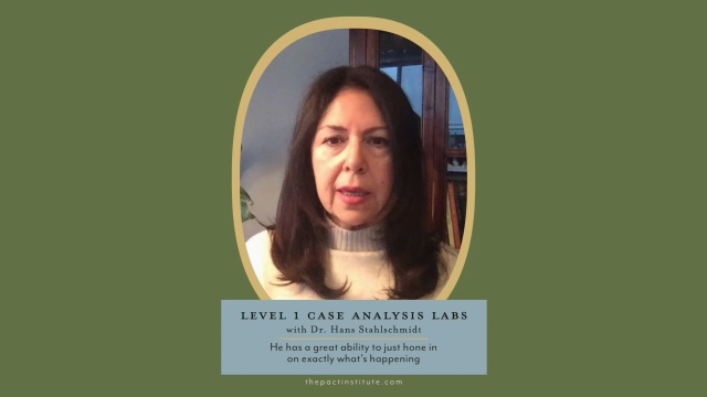 All Levels Case Analysis Labs
